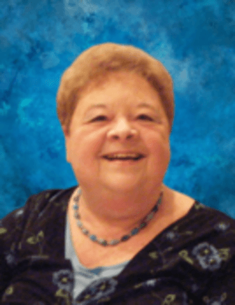 Patricia Ann Seibel Obituary